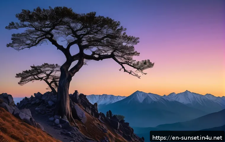 선셋포인트 산정상에서의 일몰 관련 이미지 1